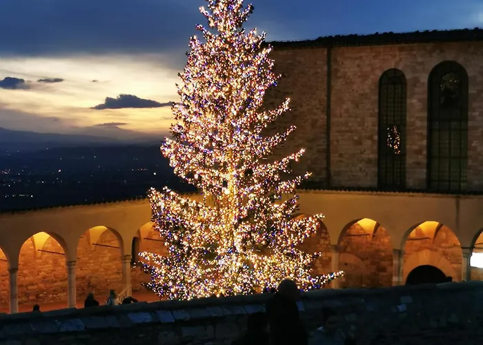 La Fontana Di Apartamento